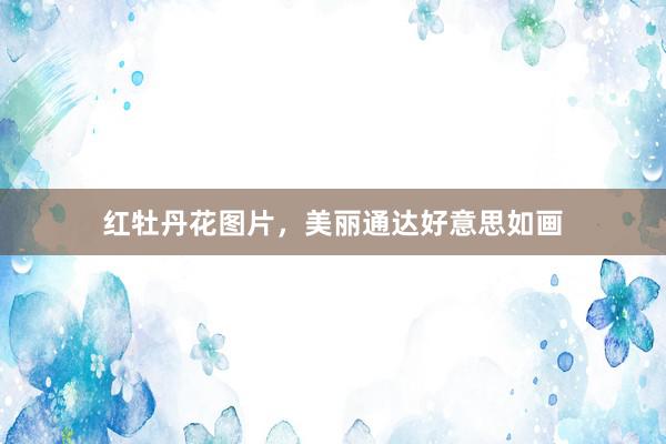红牡丹花图片，美丽通达好意思如画