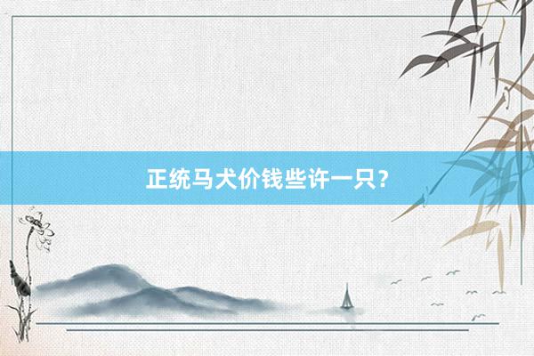 正统马犬价钱些许一只?